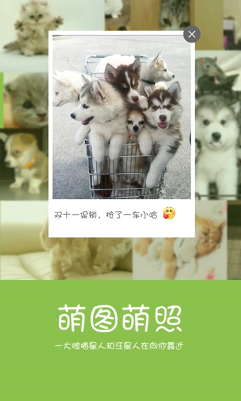 握爪,app,開(kāi)發(fā),案例,握爪,app,開(kāi)發(fā),案例,可以,